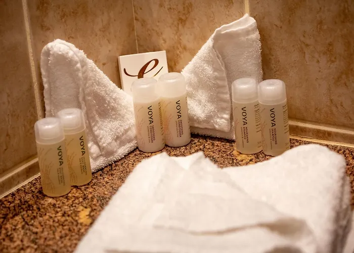 ホテル キルケニー イン ホテル